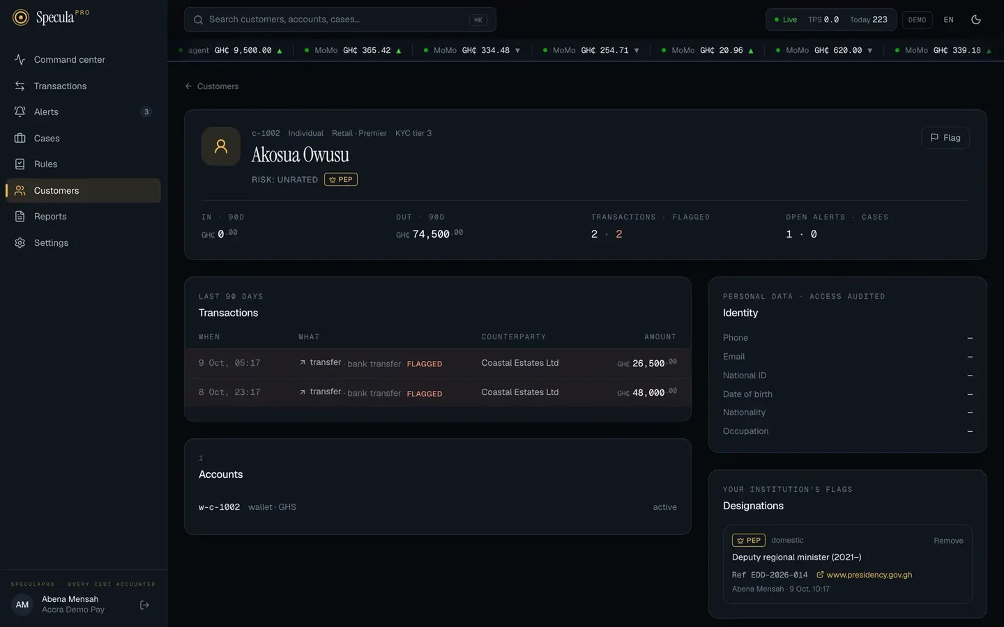 A customer profile: 90-day totals, flagged transactions, accounts, identity and designations